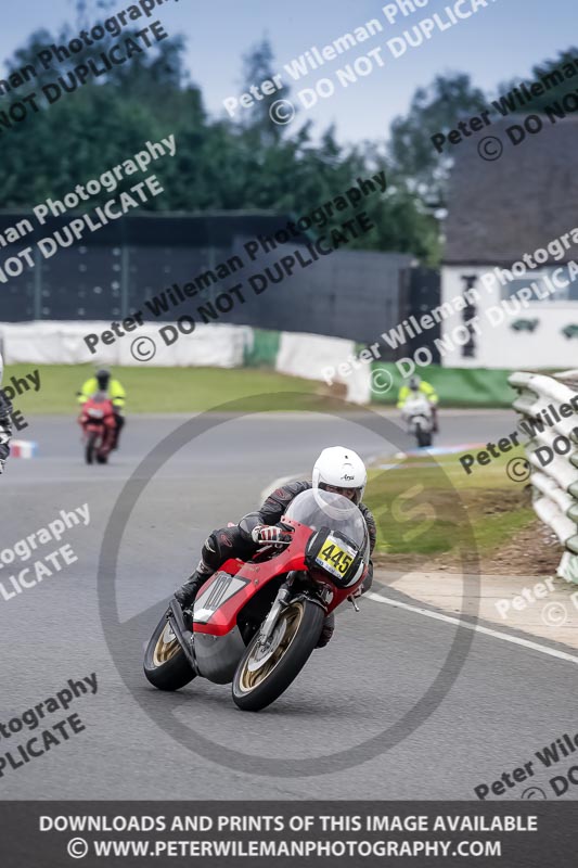 Vintage motorcycle club;eventdigitalimages;mallory park;mallory park trackday photographs;no limits trackdays;peter wileman photography;trackday digital images;trackday photos;vmcc festival 1000 bikes photographs